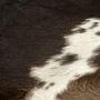 Voir la diapositive 3 : VIDAXL Tapis en peau de vache veritable Noir 150 x 170 cm