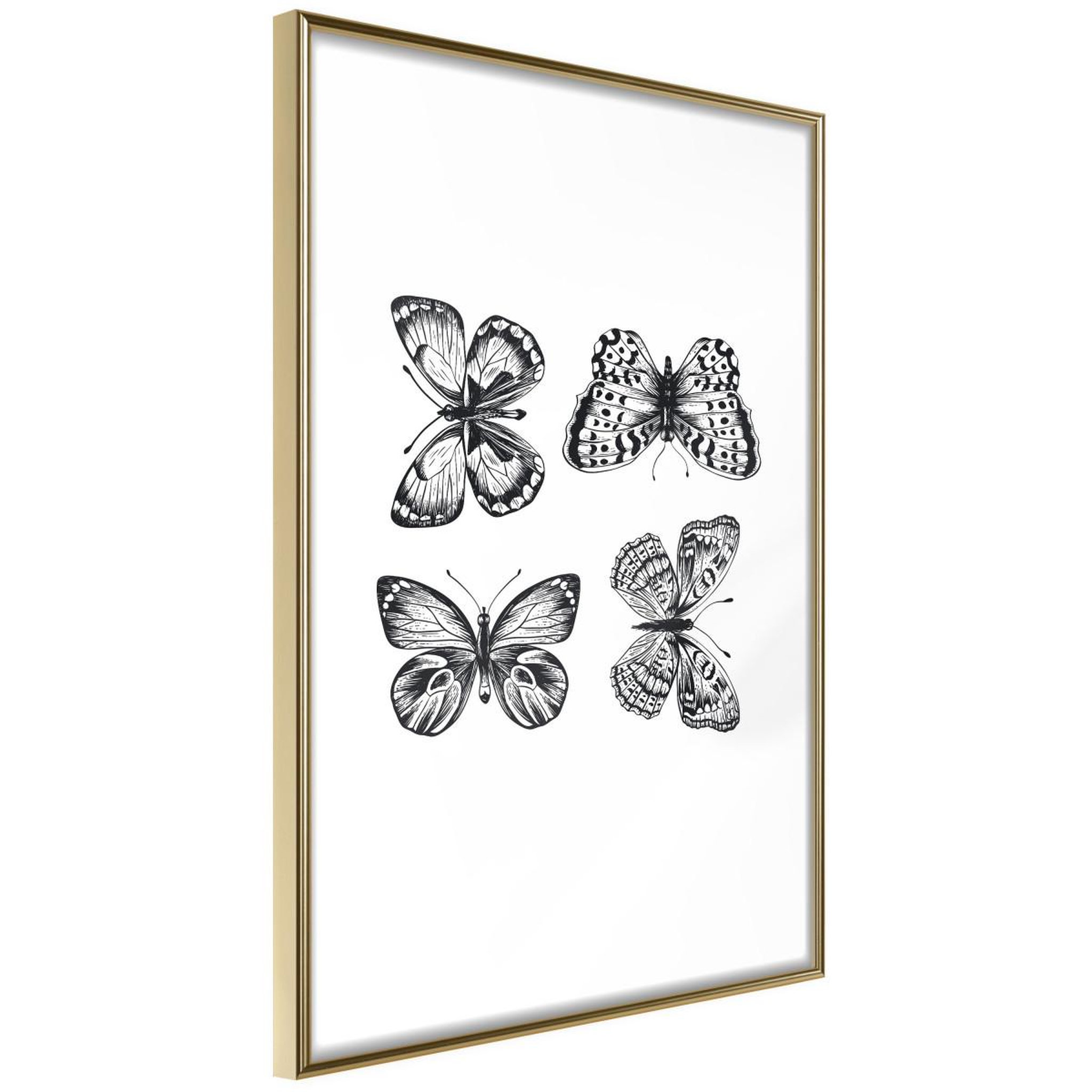 Paris Prix Affiche Murale Encadrée  Butterfly Collection IV