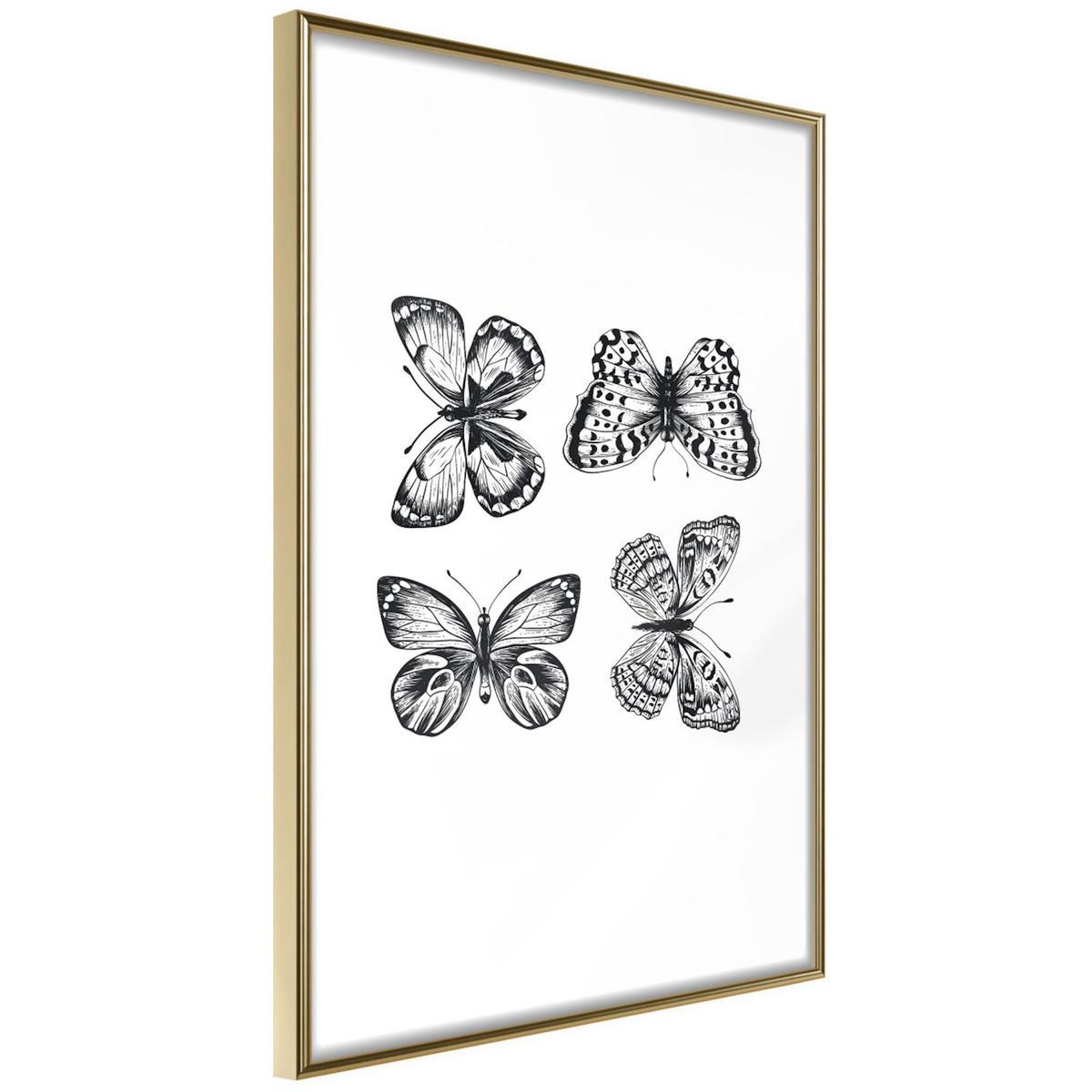 Paris Prix Affiche Murale Encadrée  Butterfly Collection IV