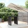 Voir la diapositive 1 : VIDAXL Table de bar et dessus en verre noir 105x80x110 cm poly rotin