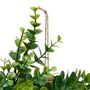 Voir la diapositive 3 : ATMOSPHERA Couronne d'Eucalyptus Artificiel  Walker  41cm Vert