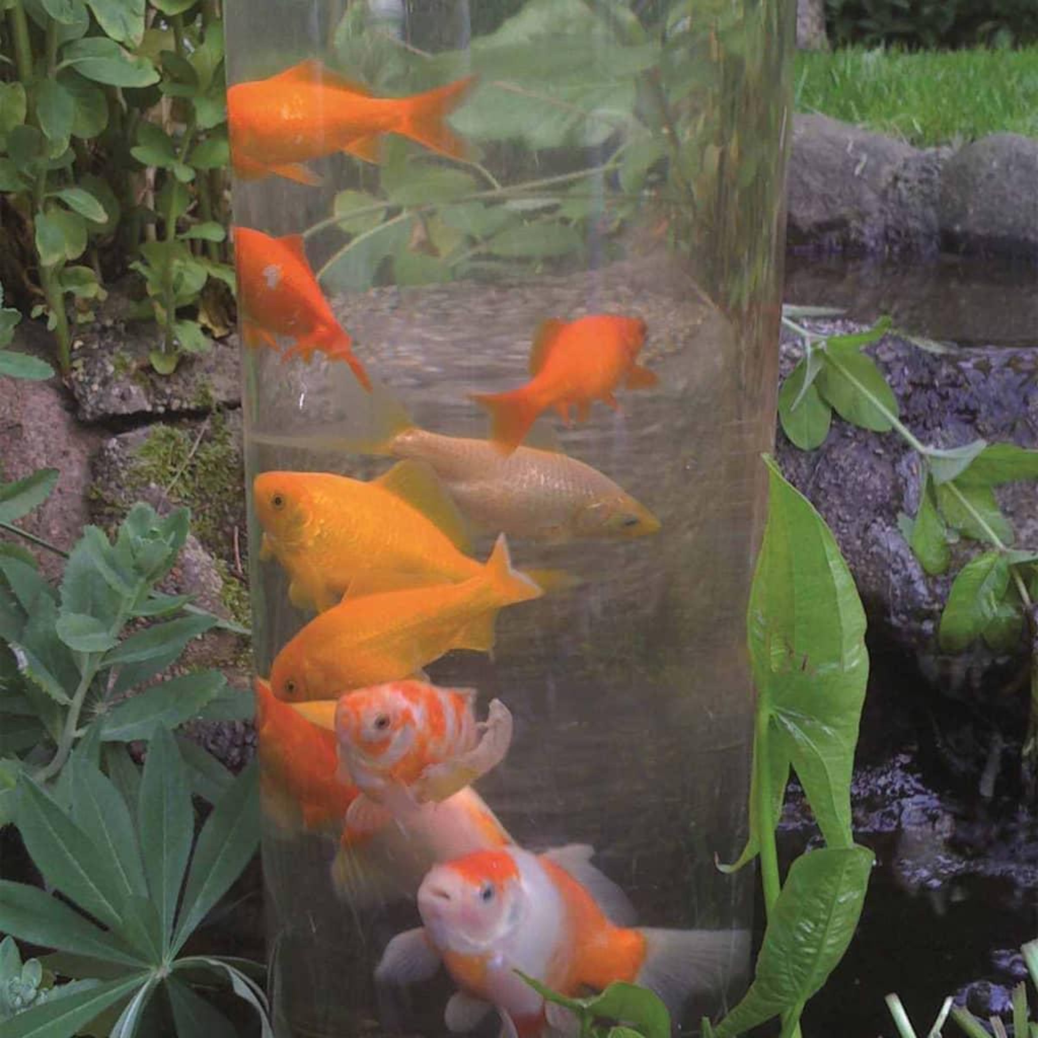 Voir la diapositive 2 : Ubbink Ubbink tour a poissons 100 cm acrylique