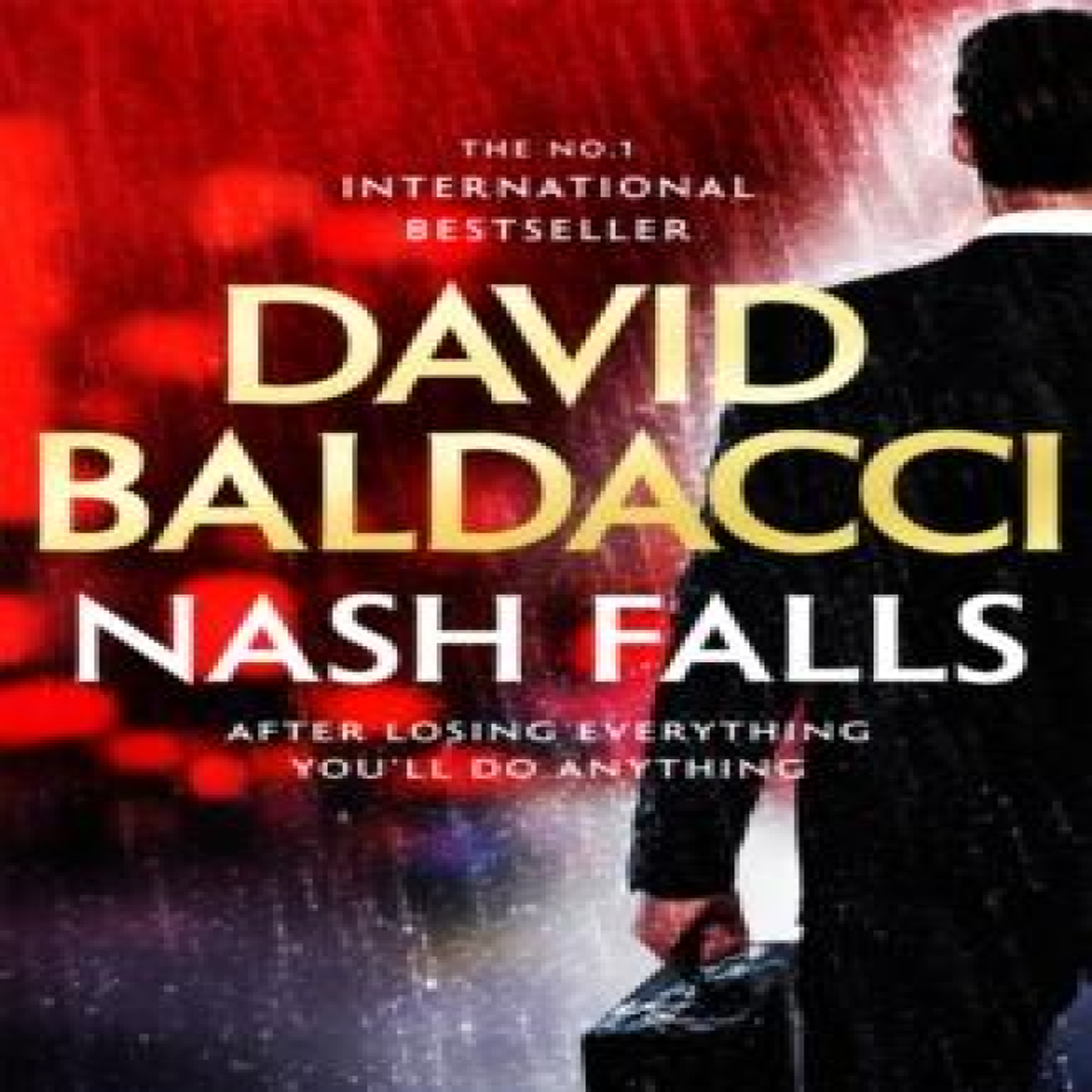 LIVRES Nash Falls - David Baldacci