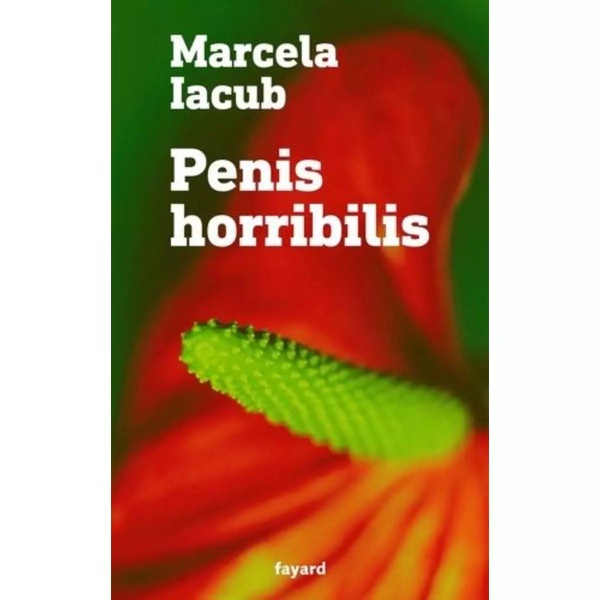  PENIS HORRIBILIS. UNE AUTRE HISTOIRE DU MOUVEMENT #METOO, Iacub Marcela