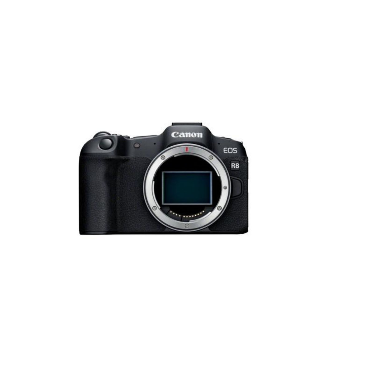 Canon Appareil photo hybride Canon Pack EOS R8 + RF 24 105mm F 4 7.1 IS STM + 2ème Batterie