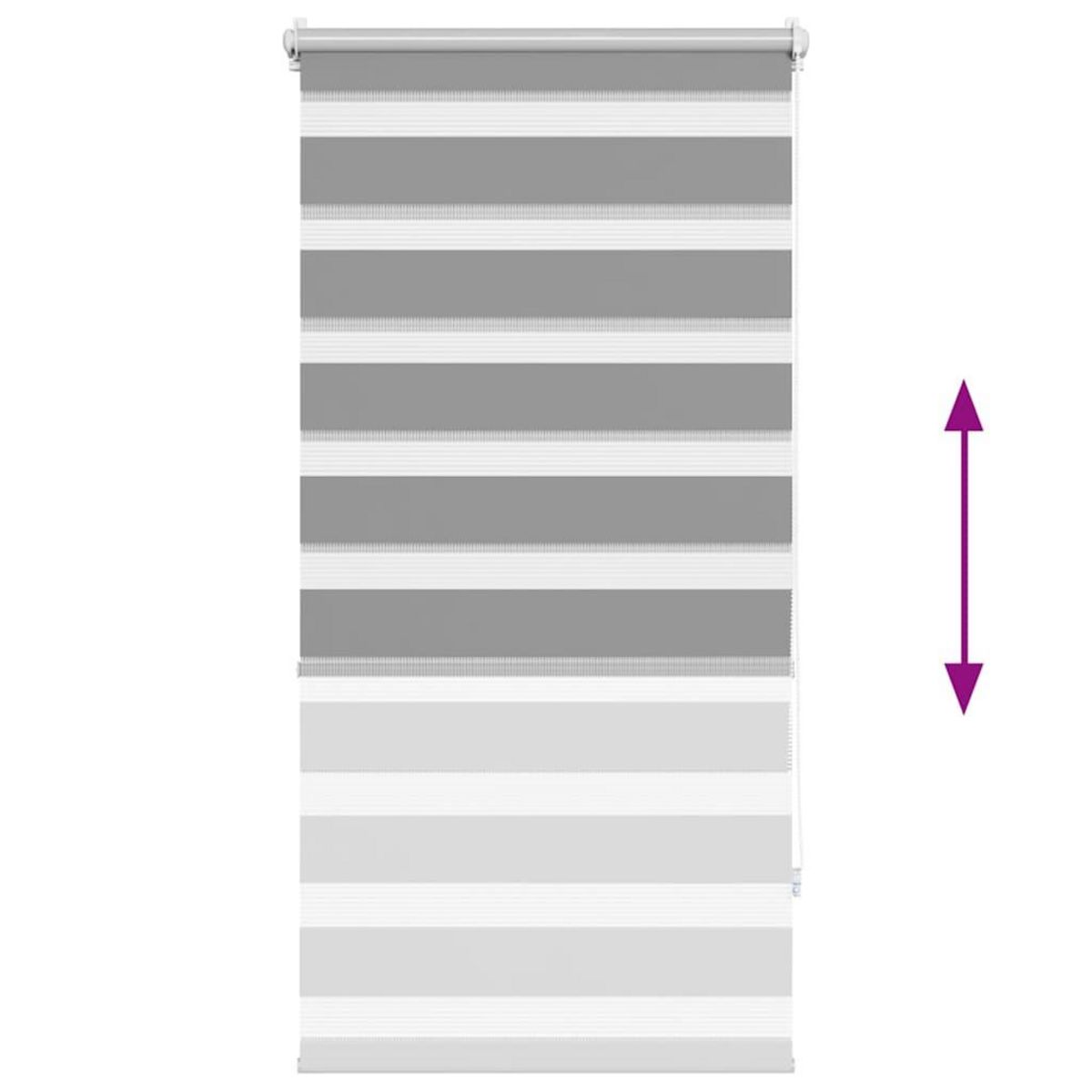 VIDAXL Store 80 x 150 cm Gris