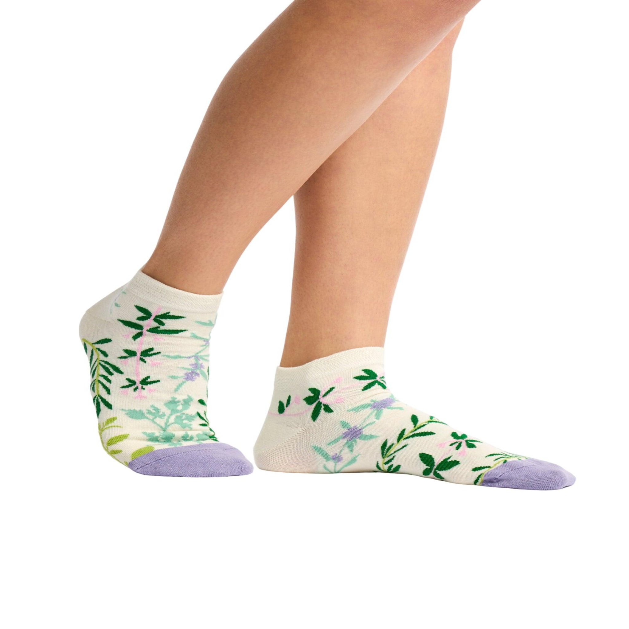 Voir la diapositive 2 : DEDOLES Socquettes herbes de jardin