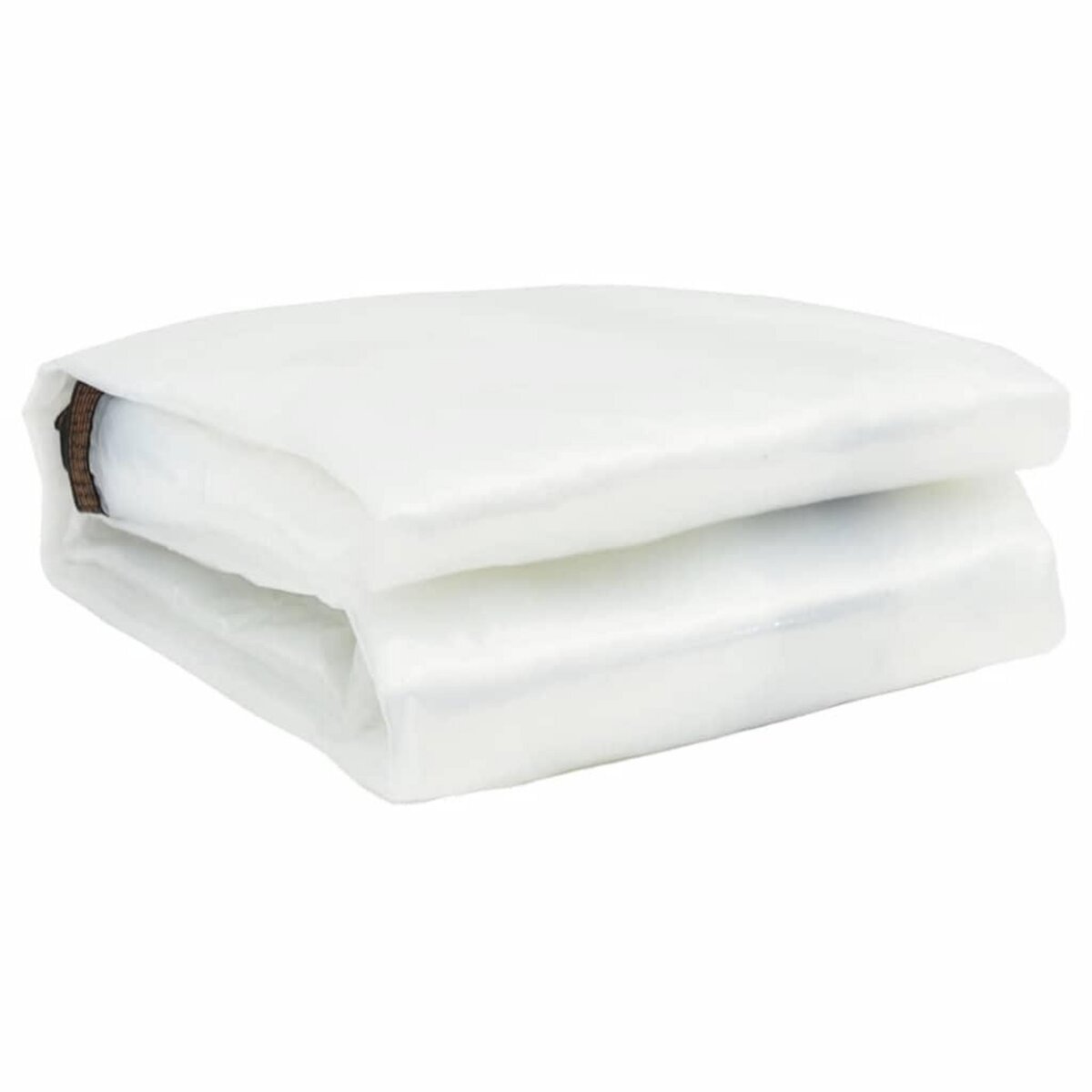 VIDAXL Bache transparente avec œillets 1x8 m polyethylene