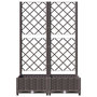 Voir la diapositive 4 : VIDAXL Jardiniere avec treillis Marron 80x40x121,5 cm PP