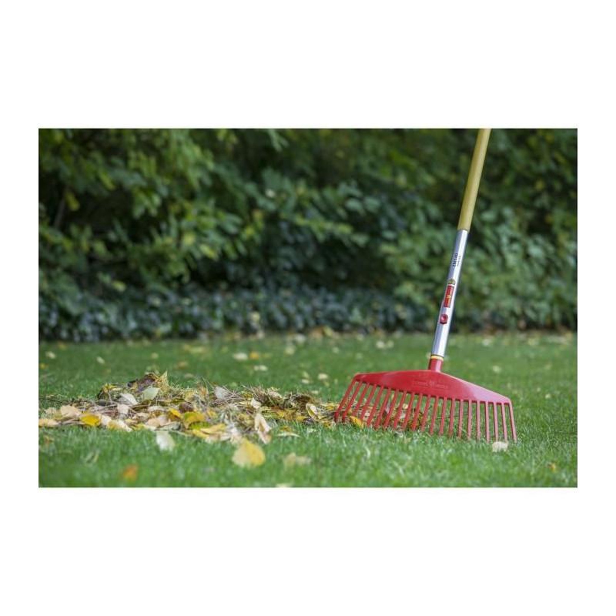 Voir la diapositive 3 : Outils Wolf Balai à gazon l.42 cm Multistar OUTILS WOLF