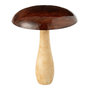 Voir la diapositive 1 : Paris Prix Champignon Déco en Bois  Brillant  23cm Naturel