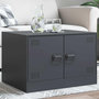 Voir la diapositive 1 : VIDAXL Table basse anthracite 67x50x44 cm acier