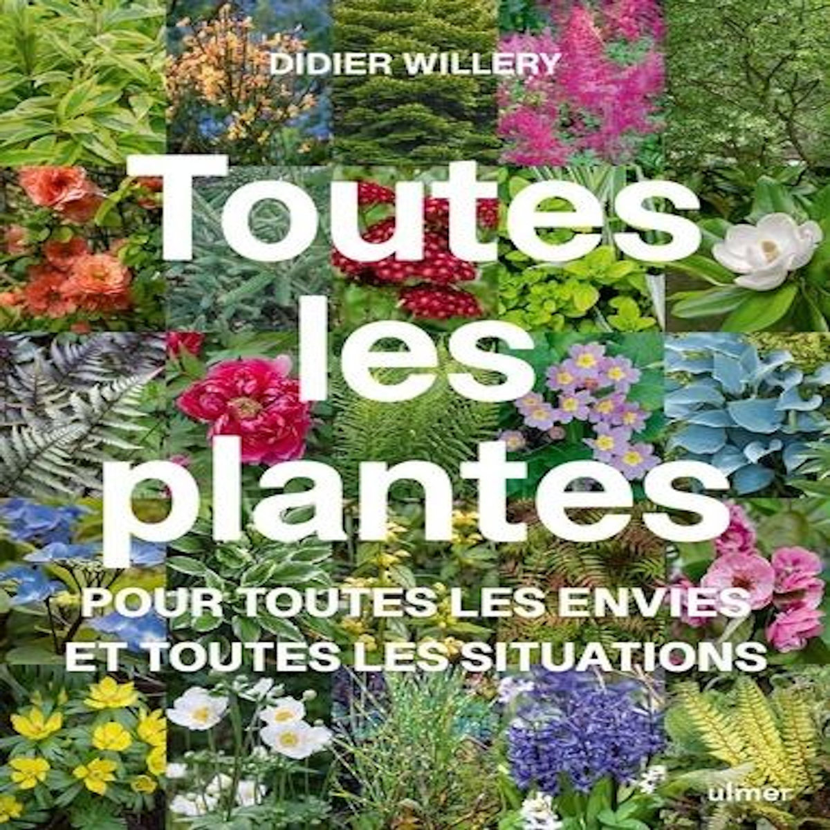 TOUTES LES PLANTES. POUR TOUTES LES ENVIES ET TOUTES LES SITUATIONS, Willery Didier