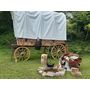 Voir la diapositive 2 : Smartbox 2 jours insolites en chariot western près de Quimperlé - Coffret Cadeau Séjour