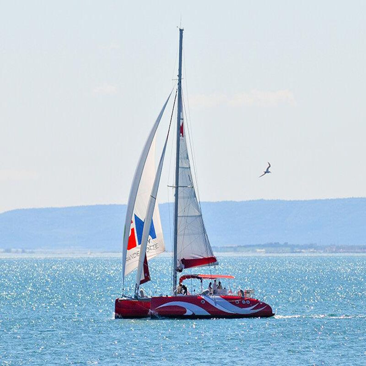 Smartbox Une fois dans sa vie ! - Coffret Cadeau Sport & Aventure