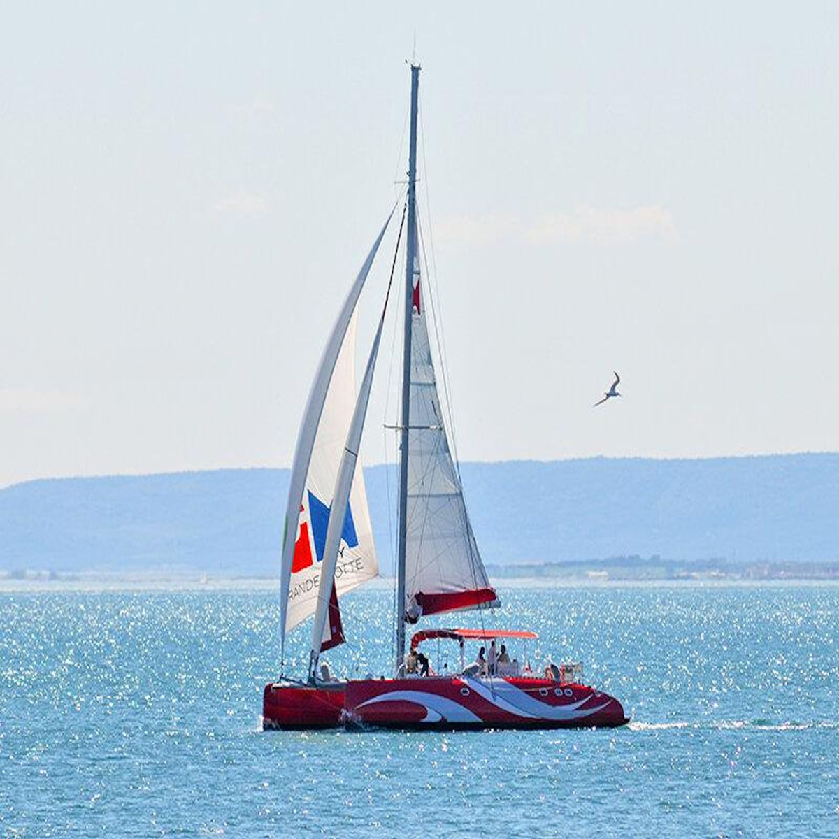 Smartbox Une fois dans sa vie ! - Coffret Cadeau Sport & Aventure