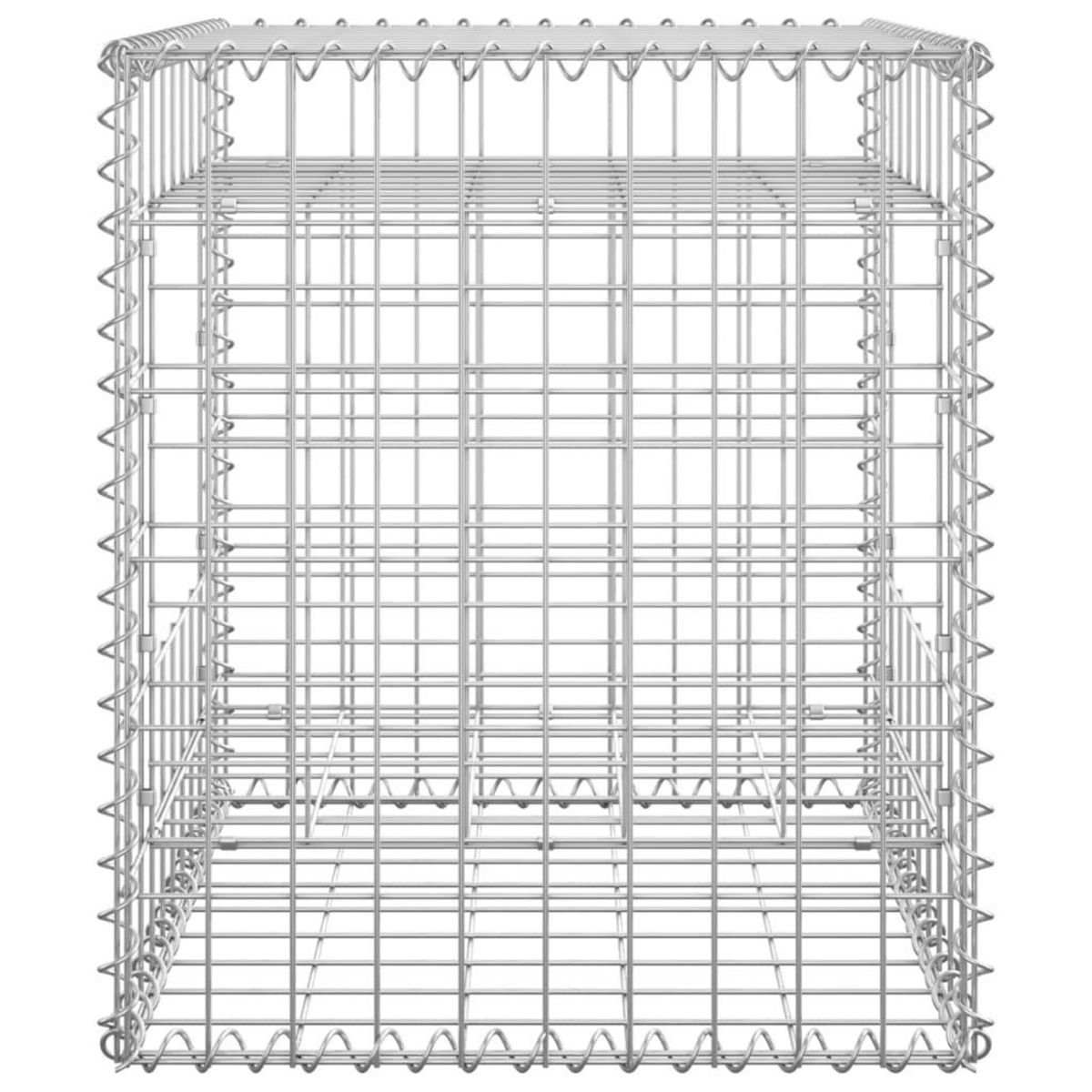 VIDAXL Poteaux a panier de gabion 2 pcs 50x50x60 cm Fer