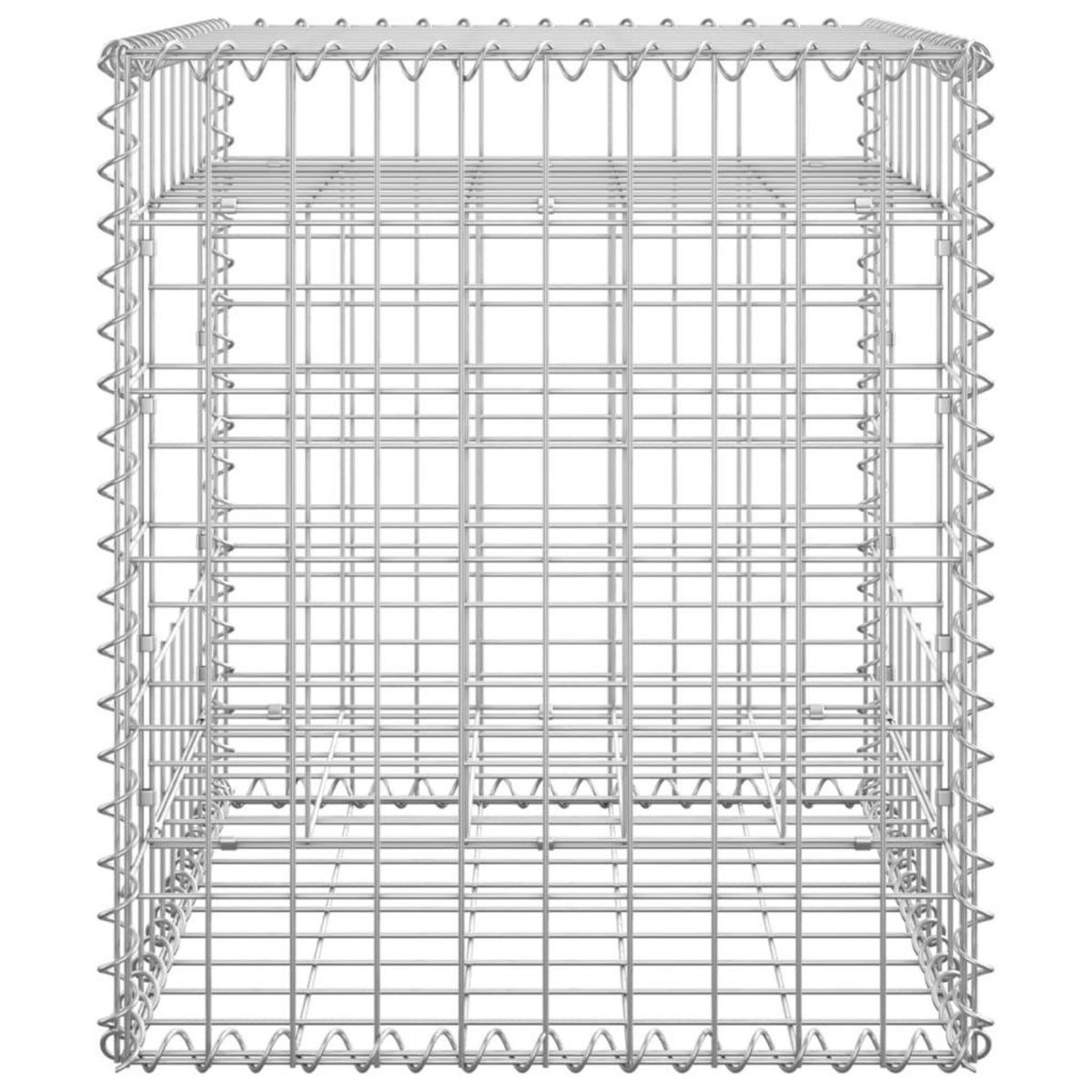 VIDAXL Poteaux a panier de gabion 2 pcs 50x50x60 cm Fer