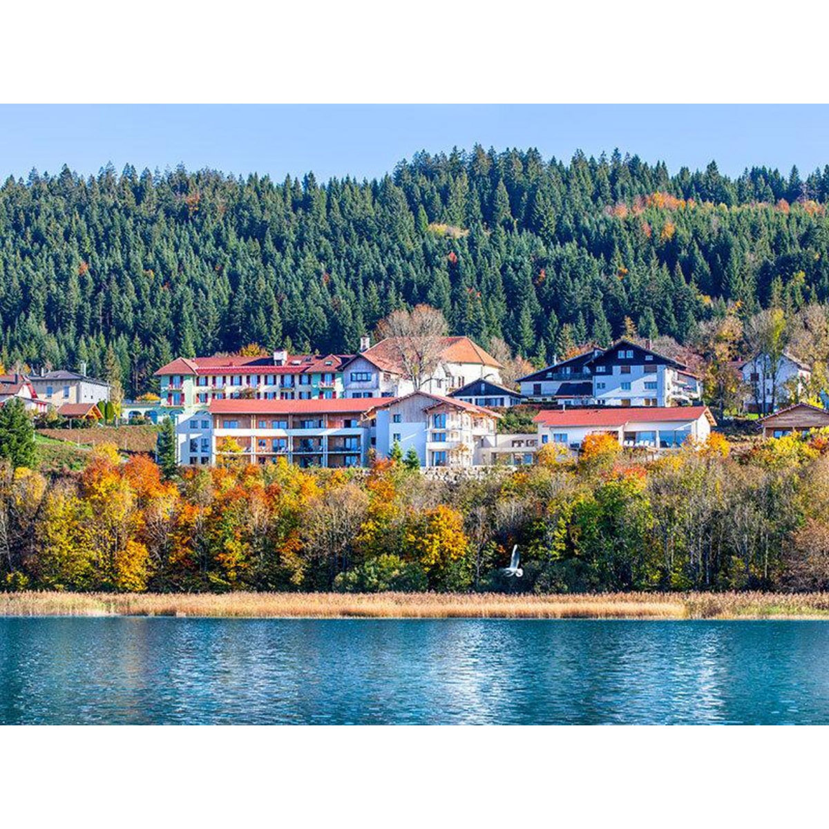 Smartbox 3h d'accès au spa Cinq Mondes en hôtel 4* avec massage et pause gourmande près de Pontarlier - Coffret Cadeau Bien-être