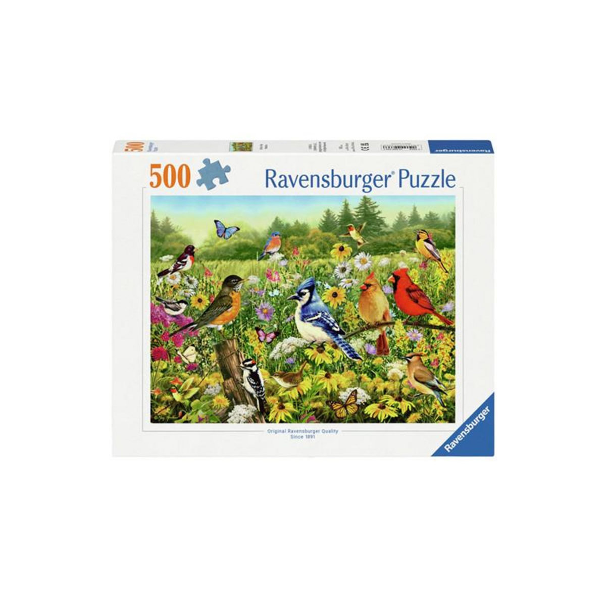 RAVENSBURGER Ravensburger - Jigsaw puzzle Birds in the Meadow, 1000 pcs. 120003366