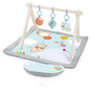 Voir la diapositive 1 : Bright Starts DISNEY BABY -WINNIE- Tapis de sol éveil bébé évolutif, arche en bois pliable avec jouets sensoriels, miroir