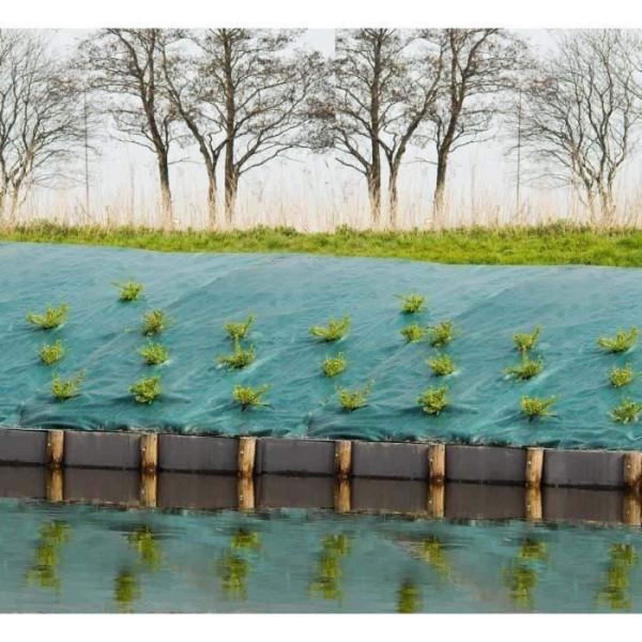 NATURE Toile de paillage paysages verte, 1 x 25 m - traité anti uv, 100 g/m² - bâche de sol anti mauvaises herbes