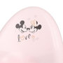 Voir la diapositive 4 : DISNEY Pot minnie