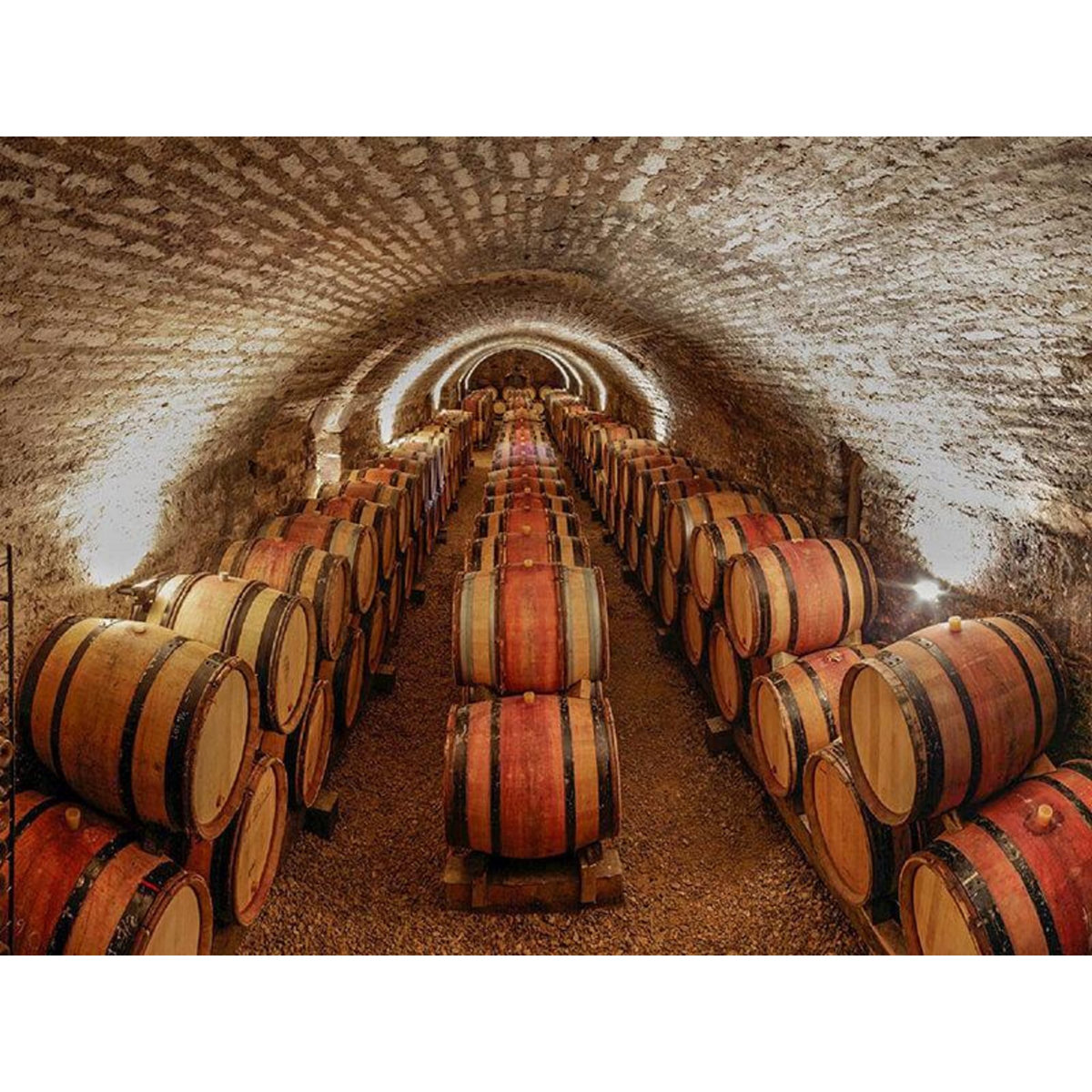 Smartbox Atelier Initiation et Dégustation Vin et Fromage dans un Bar à Vin - Coffret Cadeau Gastronomie