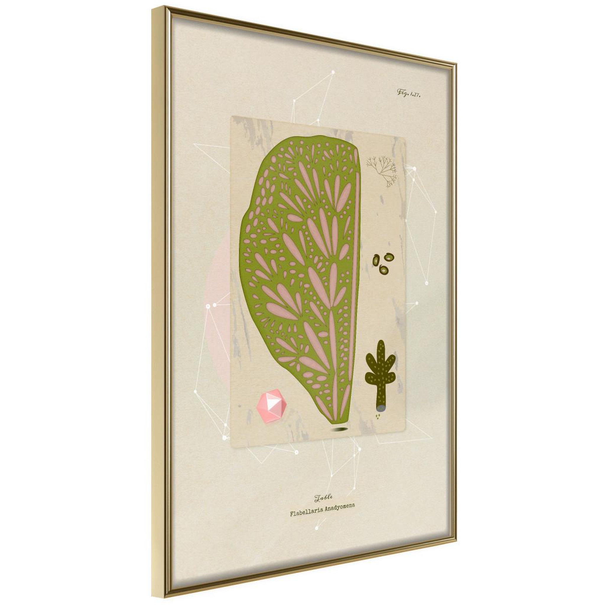 Paris Prix Affiche murale encadrée  cross section of a leaf