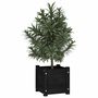 Voir la diapositive 3 : VIDAXL Jardinieres d'exterieur 2 pcs Noir 31x31x31 cm Bois de pin