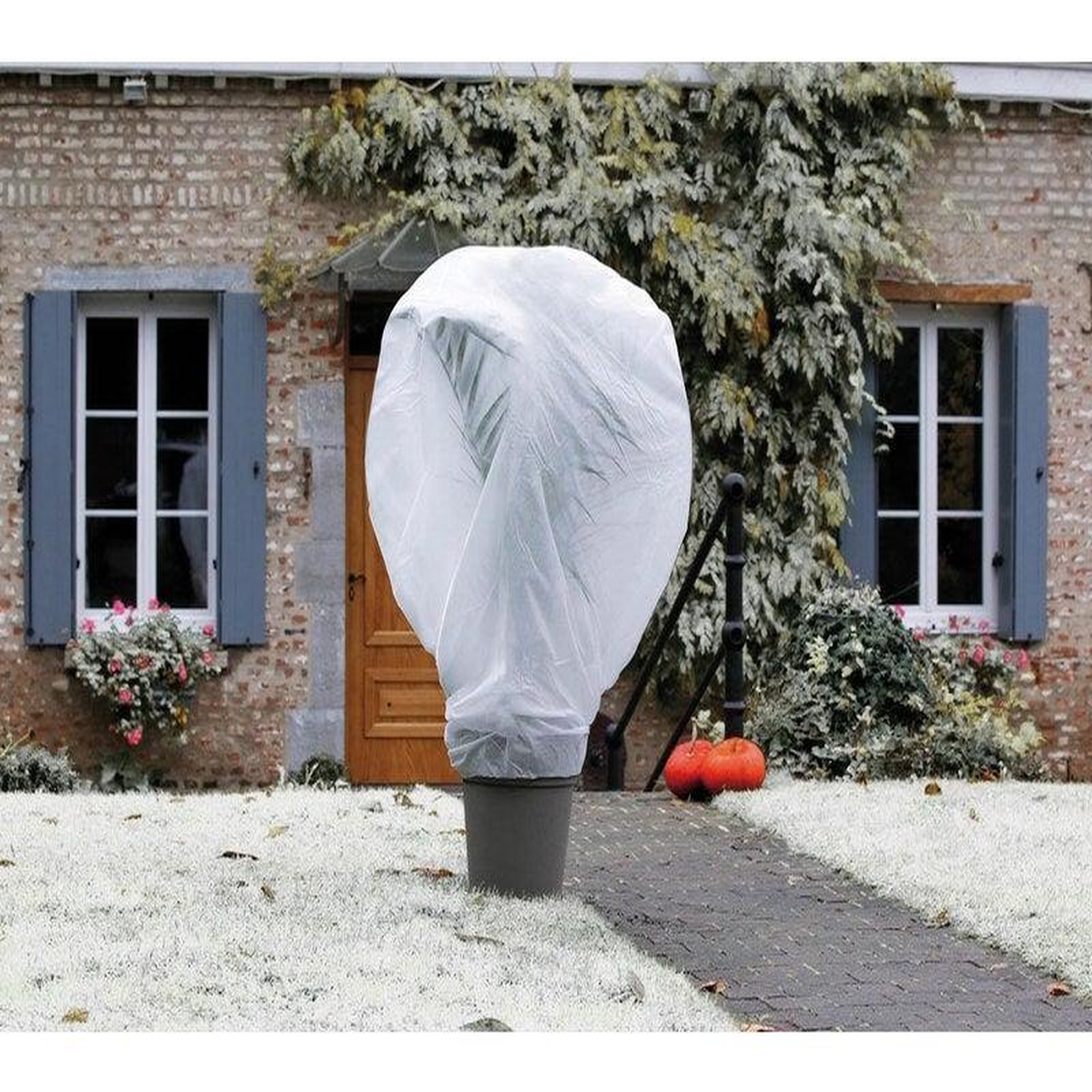 Nortene Voile D'Hivernage Nortene Wintertex Blanc 30Gr/M2, 2X5M