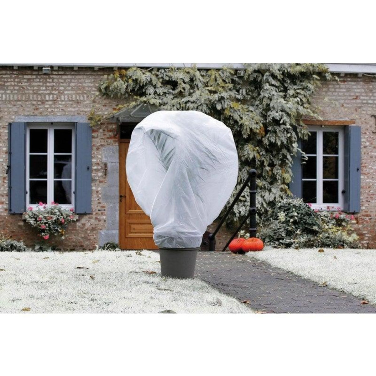 Nortene Voile D'Hivernage Nortene Wintertex Blanc 30Gr/M2, 2X5M