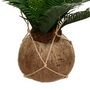 Voir la diapositive 2 : ATMOSPHERA Plante Artificielle Palmier  Cuba  55cm Vert