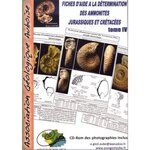FICHES D'AIDE A LA DETERMINATION DES AMMONITES JURASSIQUES ET CRETACEES. TOME 4, AVEC 1 CD-ROM, Jaffré René