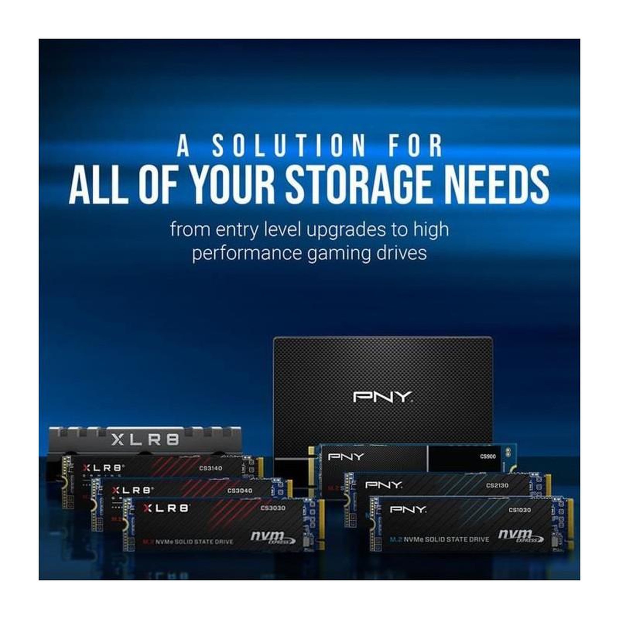 Voir la diapositive 5 : PNY PNY - CS1030 - SSD - 500 Go - M.2 2280 - M280CS1030-500-RB