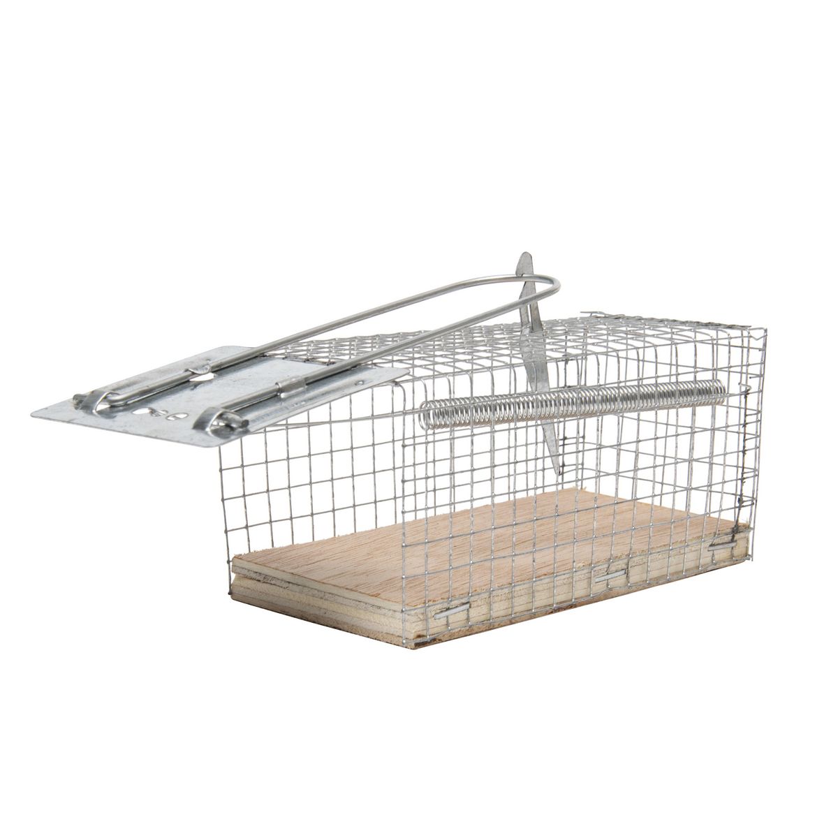 WERKAPRO Nasse pour souris 11x5,5x5,5 cm WERKA PRO