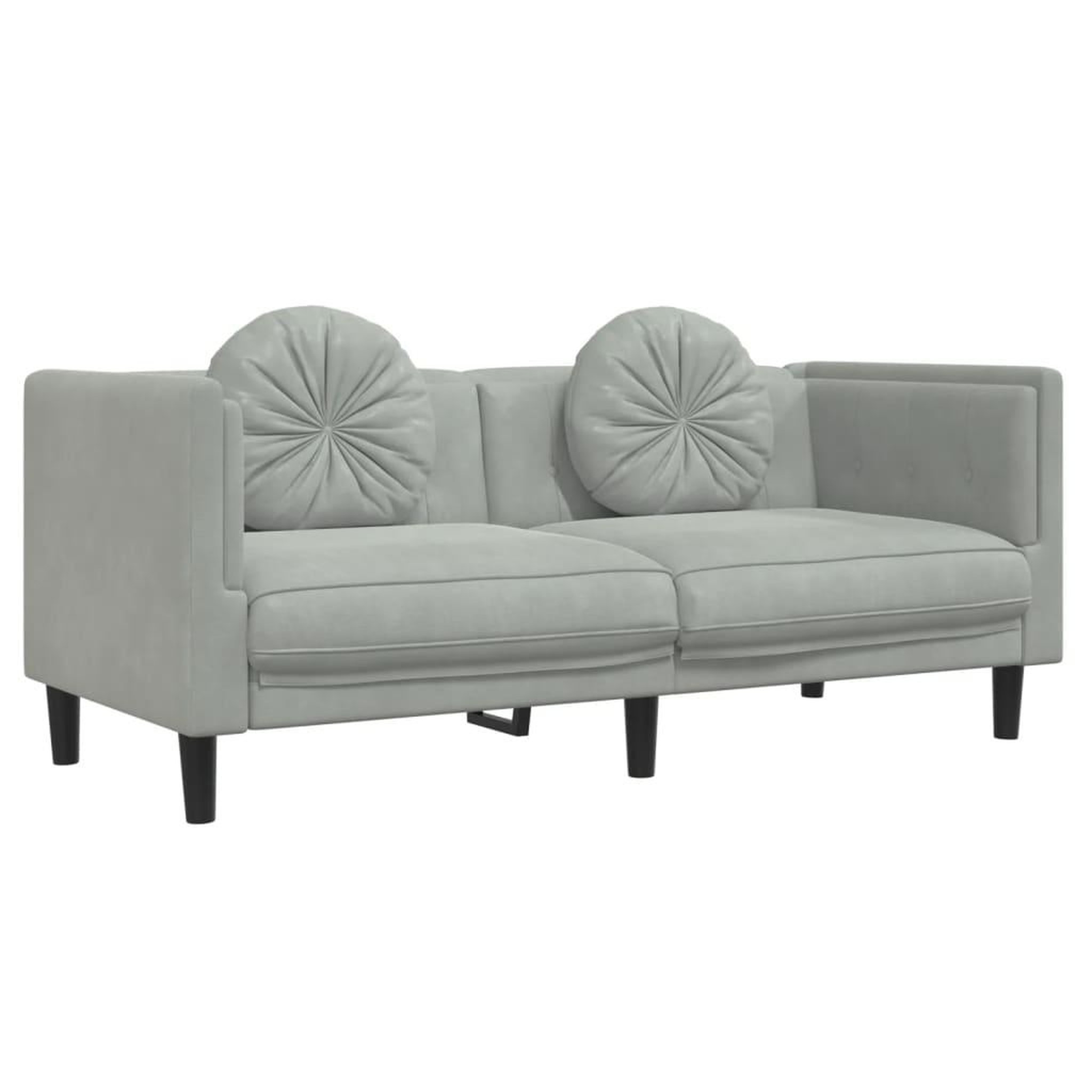 Voir la diapositive 2 : VIDAXL Canape avec coussins 2 places gris clair velours