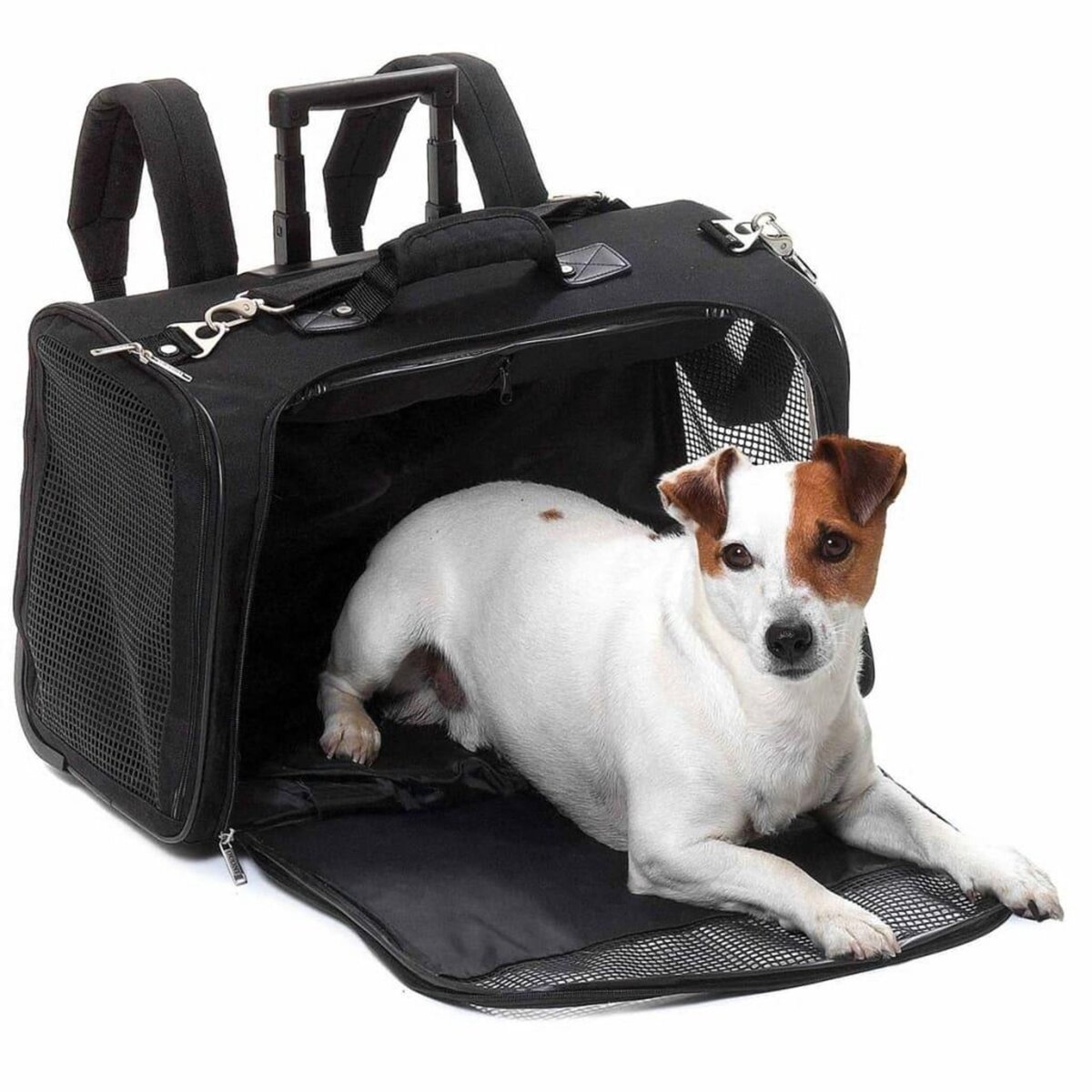 Trixie TRIXIE Rampe pour animaux de compagnie 40x156 cm 90 kg Noir