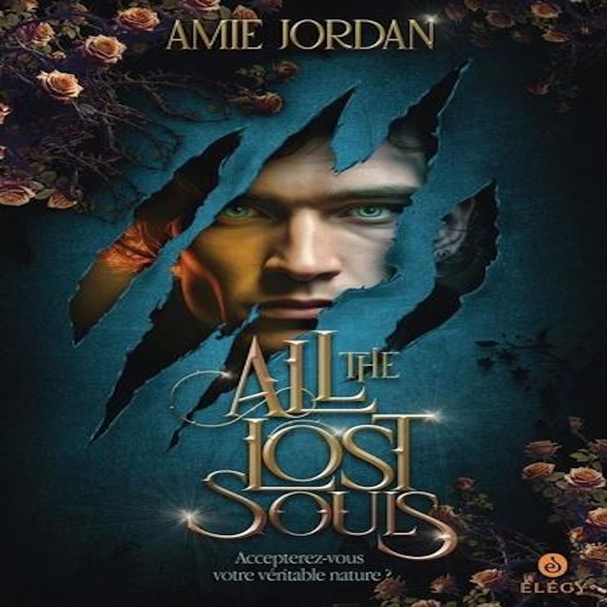 ALL THE HIDDEN MONSTERS TOME 2 : ALL THE LOST SOULS, Jordan Amy