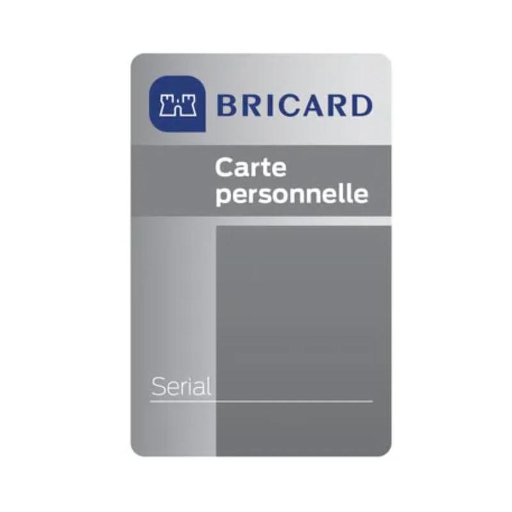Voir la diapositive 3 : BRICARD Cylindre double entrée SERIAL nickelé A2P* longueur 60 30+30mm série 8161 BRICARD 4315070