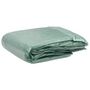 Voir la diapositive 2 : VIDAXL Couverture de remplacement de serre (16 m^2) 400x400x200 cm Vert