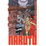 NARUTO EDITION HOKAGE TOME 29 , Kishimoto Masashi