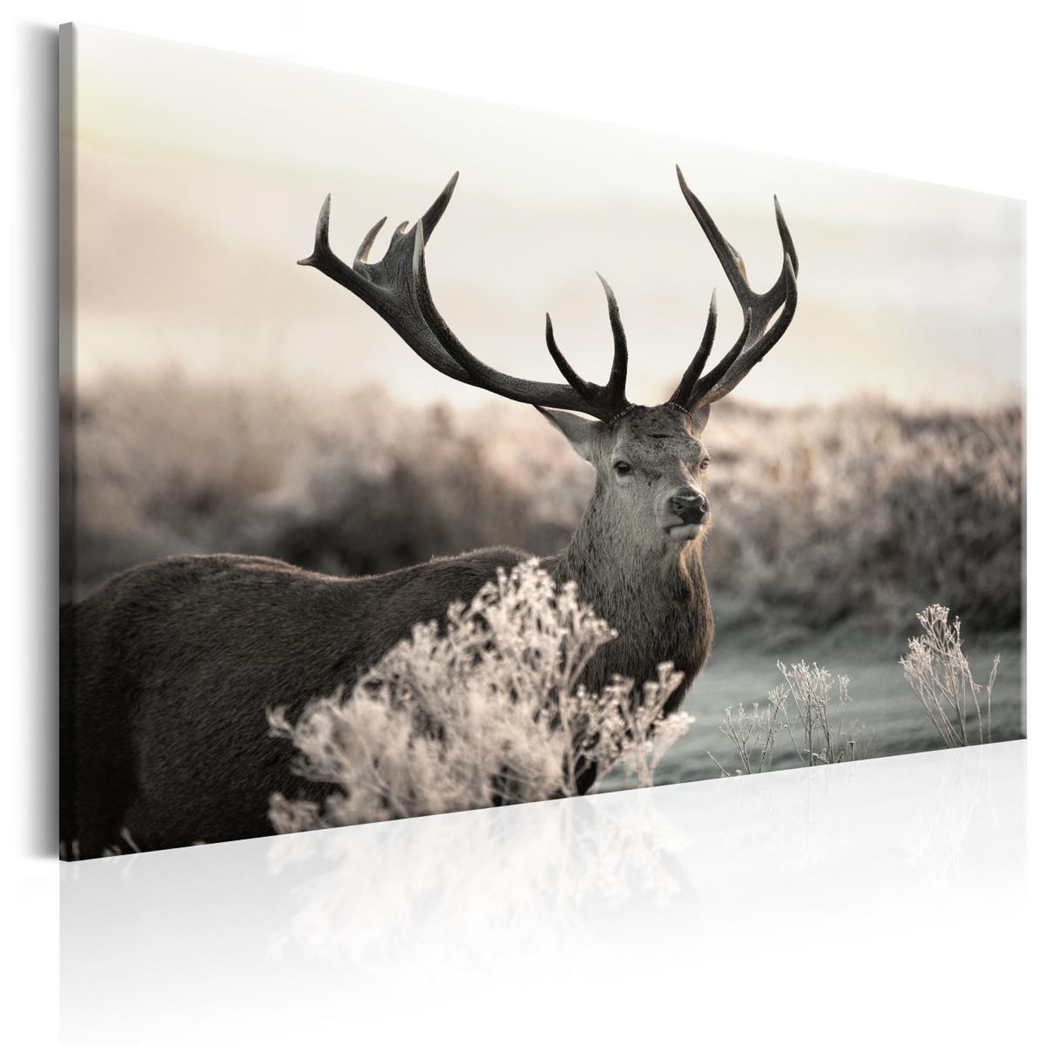 Paris Prix Tableau imprimé  powerful horns. Coloris disponibles : Multicolore