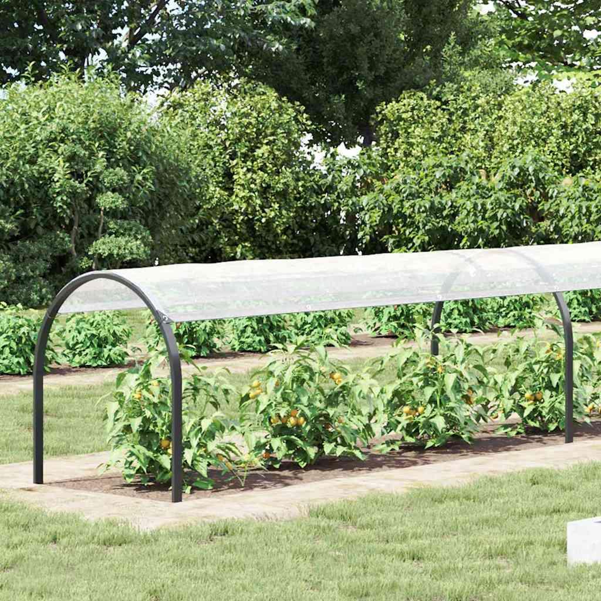 Voir la diapositive 2 : VIDAXL Housse de protection plantes avec œillets 1x6 m polyethylene