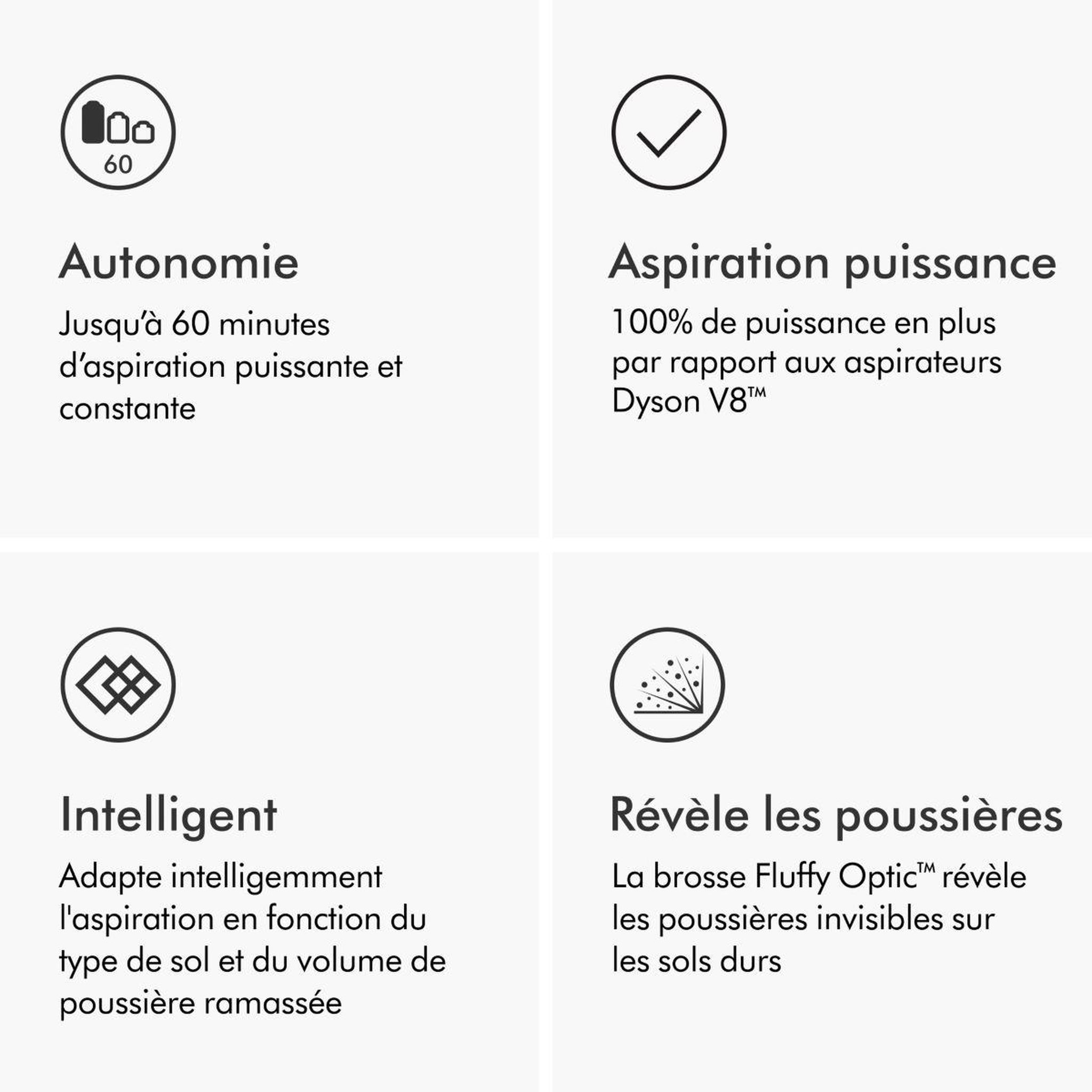 Voir la diapositive 4 : Dyson Aspirateur balai v15 detect absolute