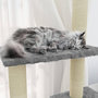 Voir la diapositive 4 : VIDAXL Arbre a chat avec griffoirs en sisal Gris clair 155 cm