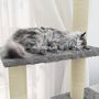 Voir la diapositive 4 : VIDAXL Arbre a chat avec griffoirs en sisal Gris clair 155 cm