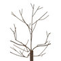 Voir la diapositive 2 : Paris Prix Arbre Déco en Métal  Maynard  75cm Marron
