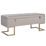 VIDAXL Banc avec compartiment de rangement 105 cm Gris Velours