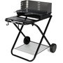 Voir la diapositive 7 : GARDENSTAR Barbecue charbon de bois pliable en acier 60,5x82x70 cm
